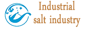 Industrial salt industry Internet of things